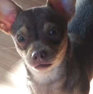 Meet your Posher, Eric wayne